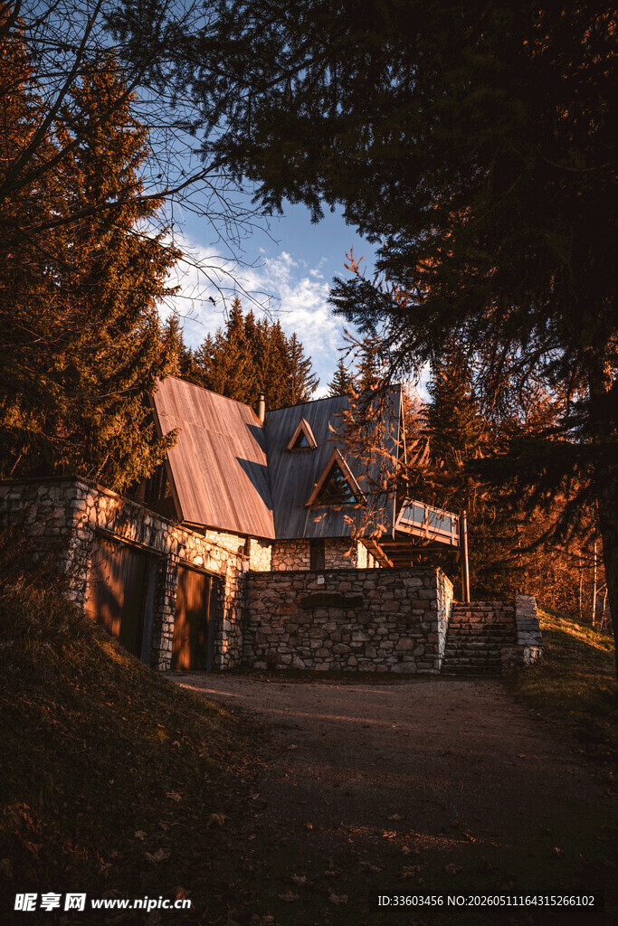 林间小屋静谧的自然景致