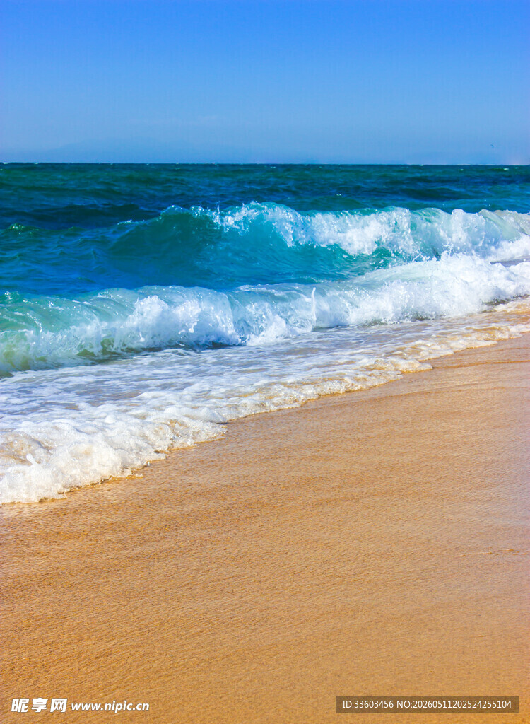 金色沙滩与海浪美景
