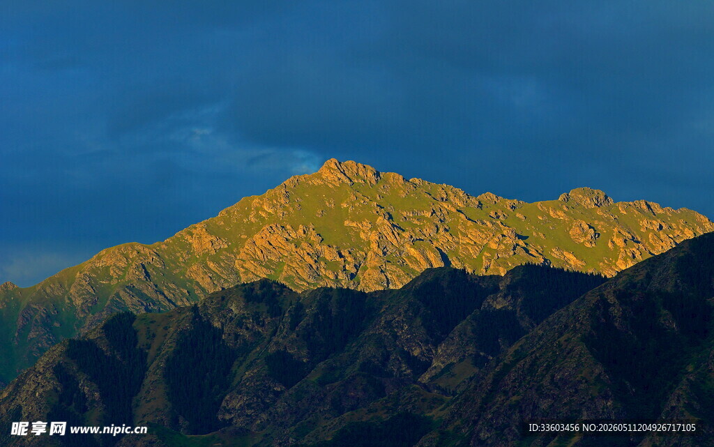 夕阳下的金色山峦