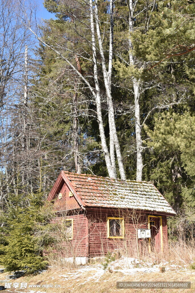 林间红顶小屋