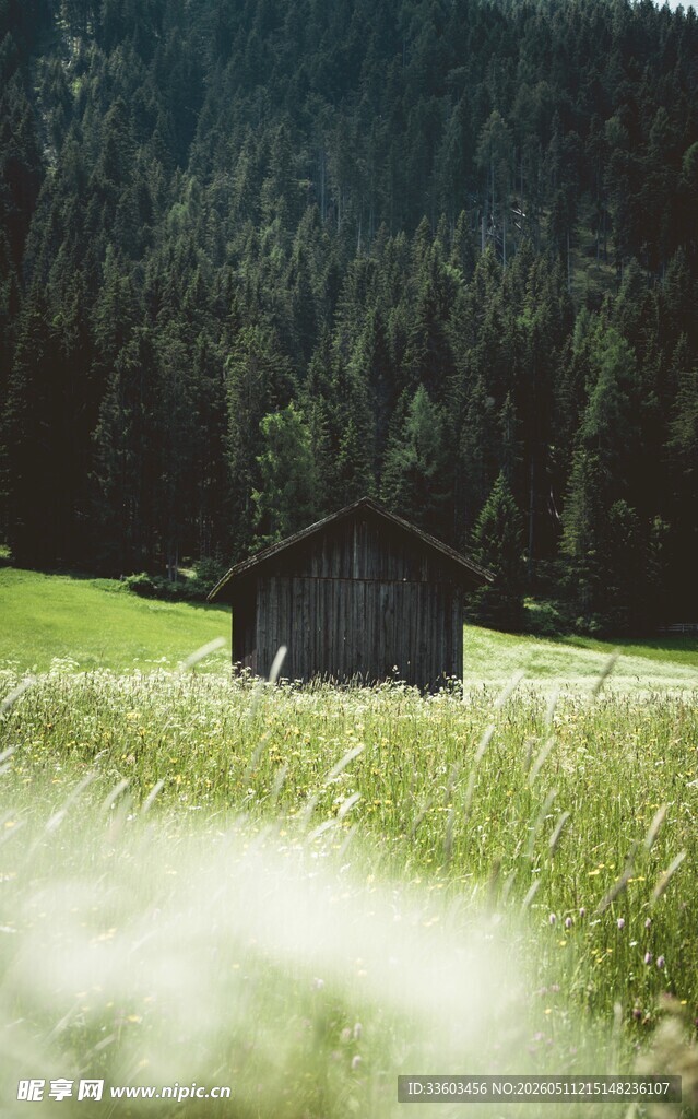 山间草甸中的静谧小屋