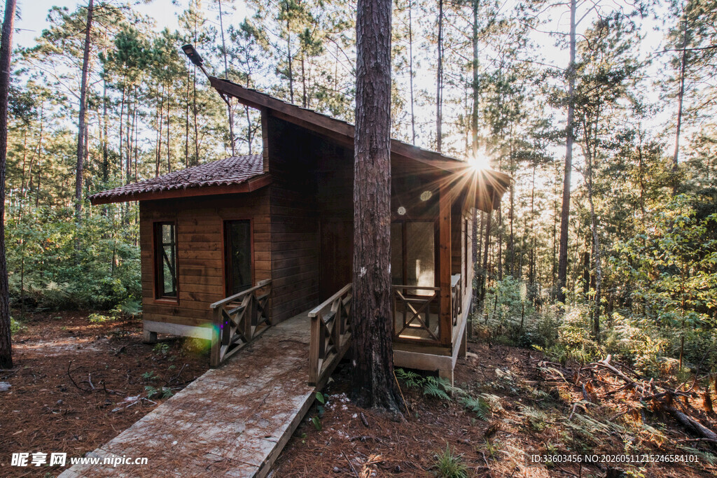 林间小屋
