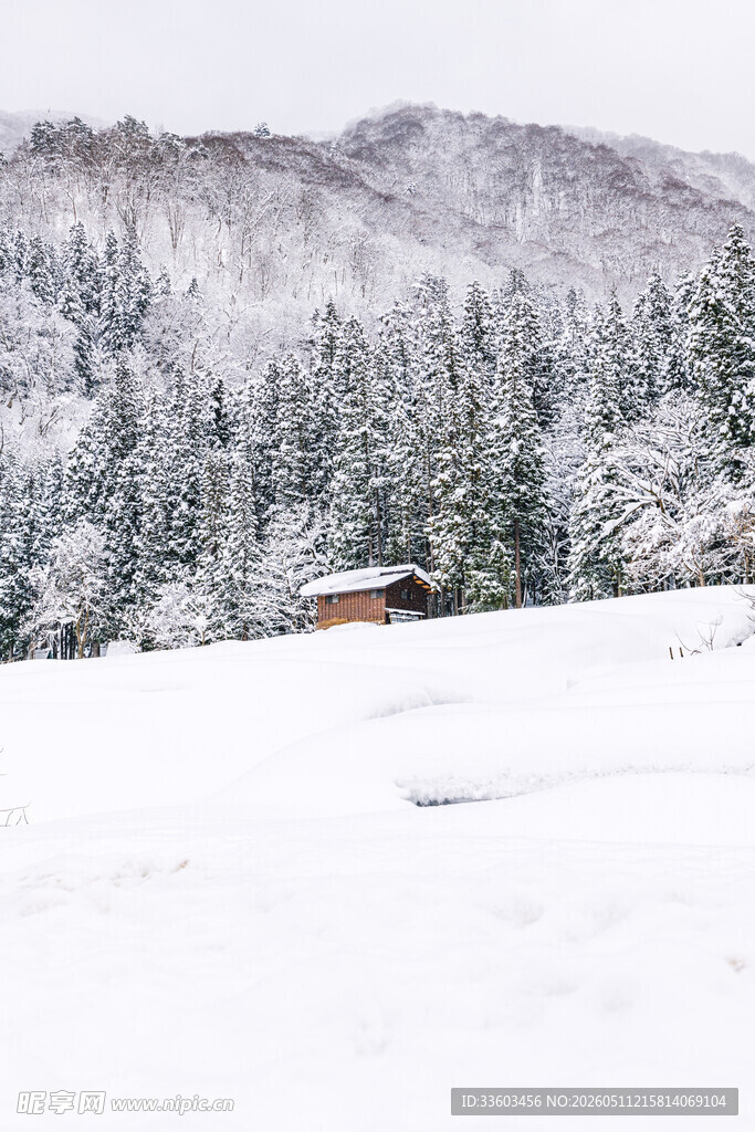 雪覆山林中的小屋