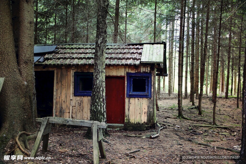 林间废弃小屋