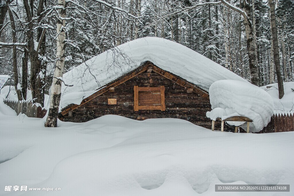 雪覆木屋冬日静谧森林景象