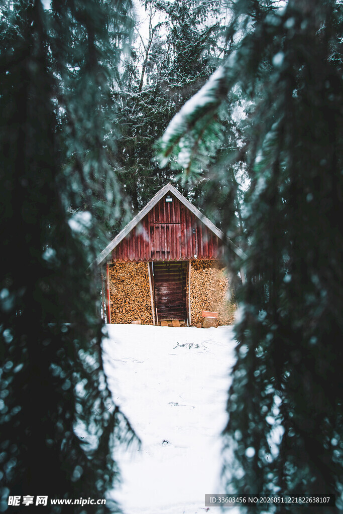 雪林中的红顶小屋