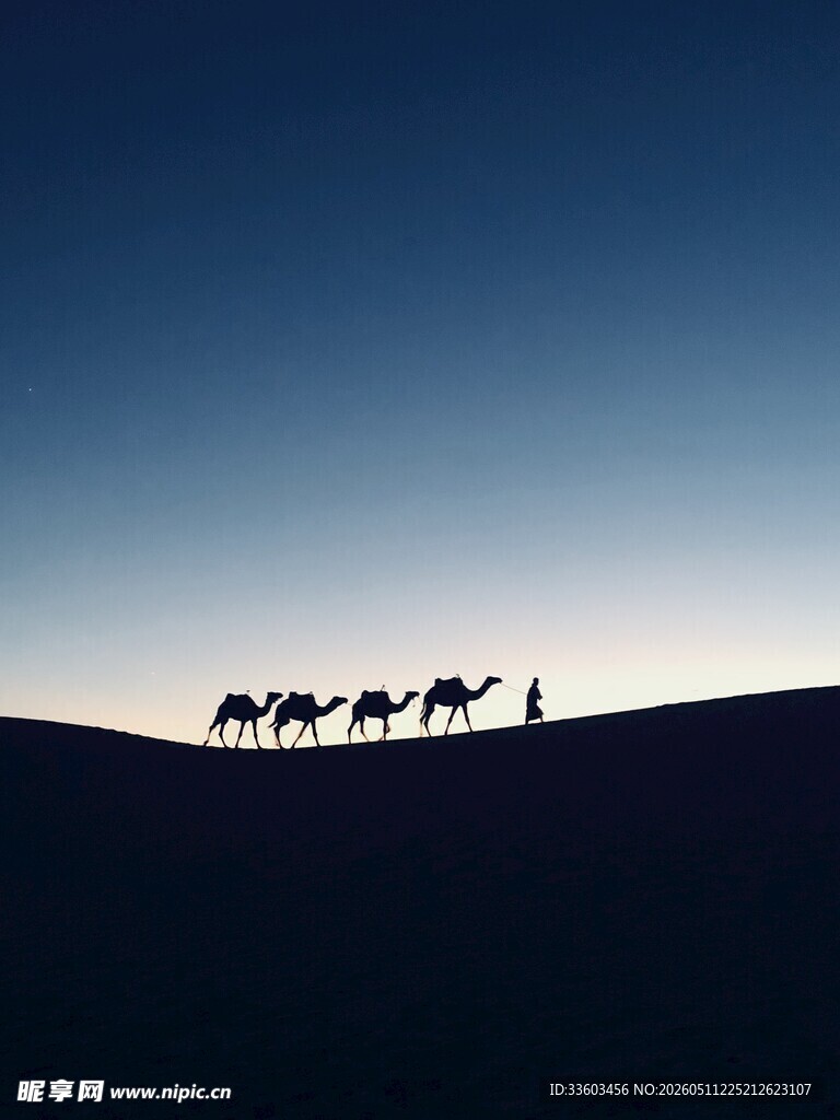 沙漠驼队
