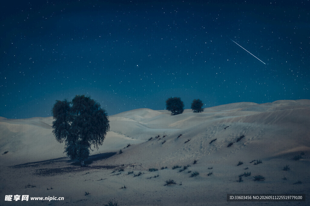 沙漠夜空下的孤寂树木