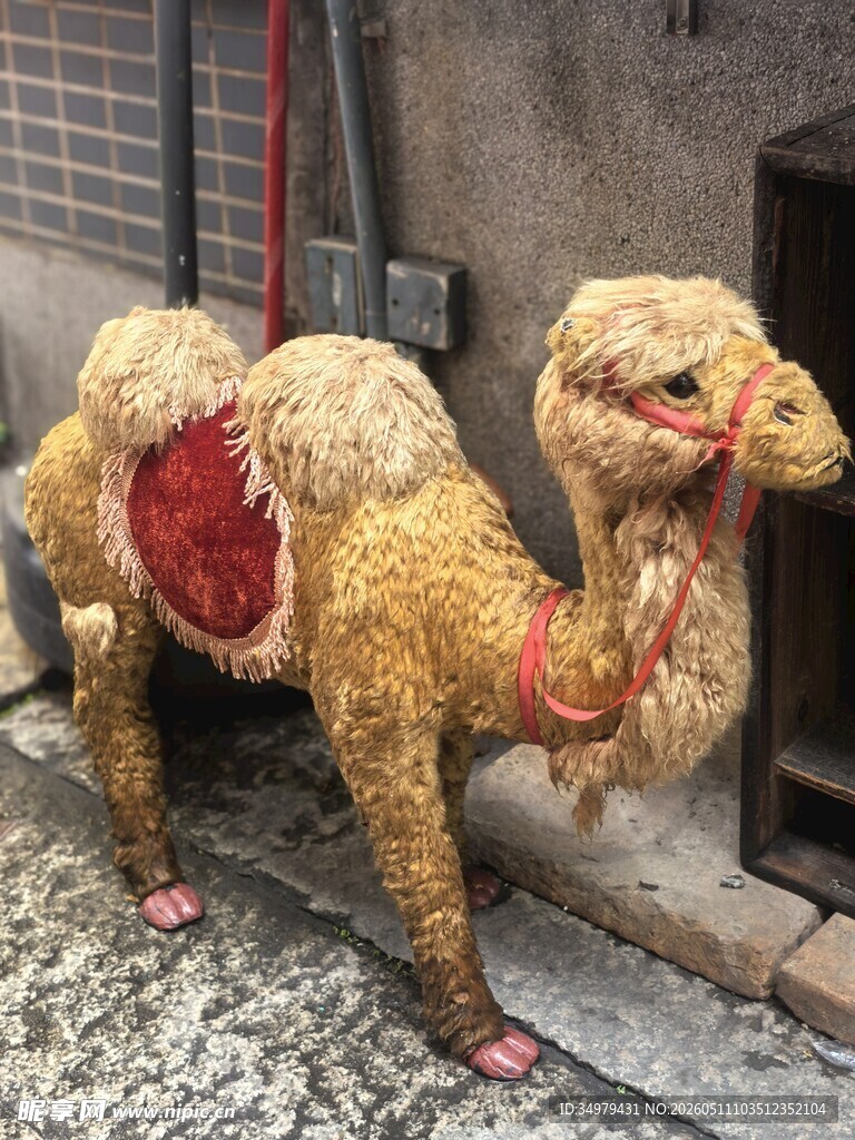 骆驼模型