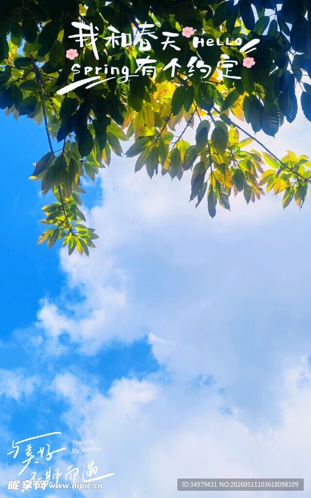 夏日的天空
