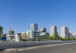 城市道路旁的现代建筑群