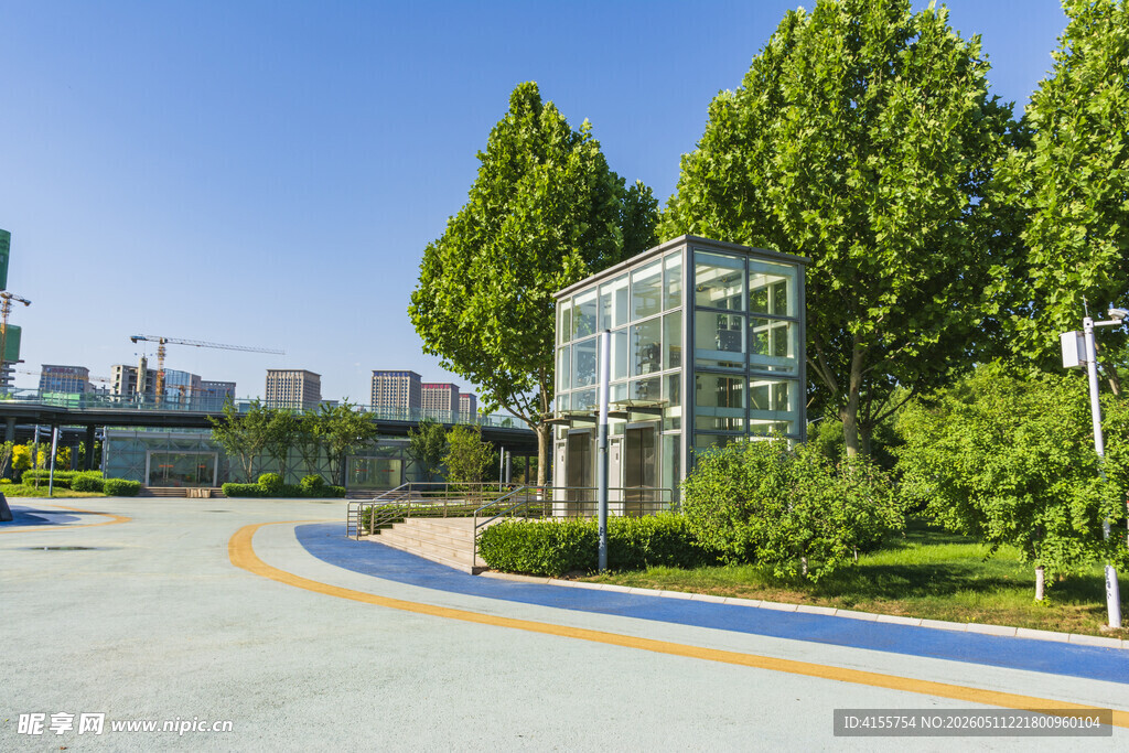 园区优美道路与绿植景观