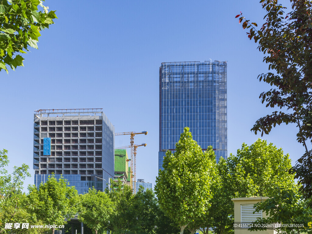 城市绿树间的高楼景观