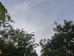 林间天空 绿意与云的交织