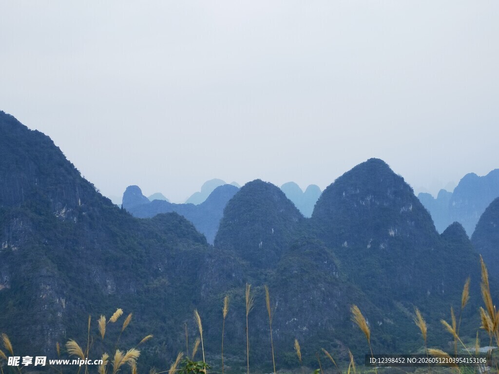 秀丽山峦与前景植物景观