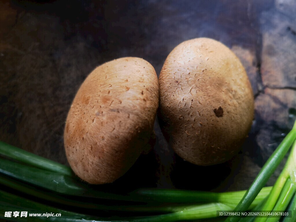 香菇