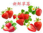 新鲜草莓