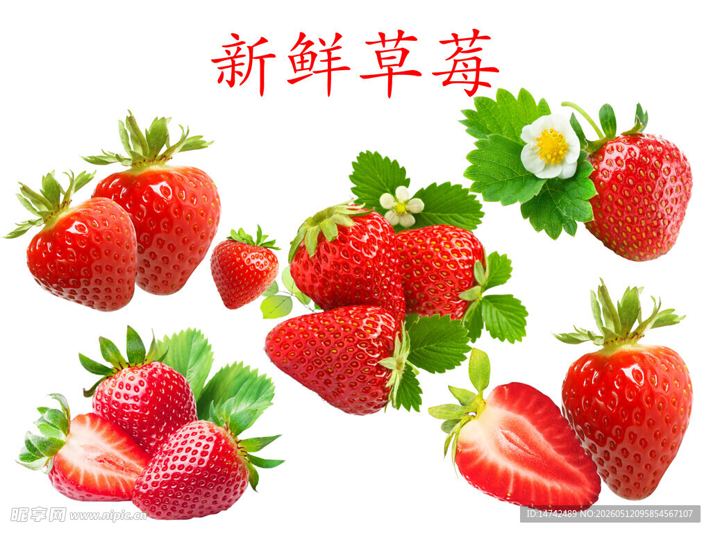 新鲜草莓