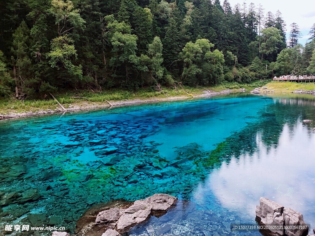 清澈蓝湖伴葱郁森林