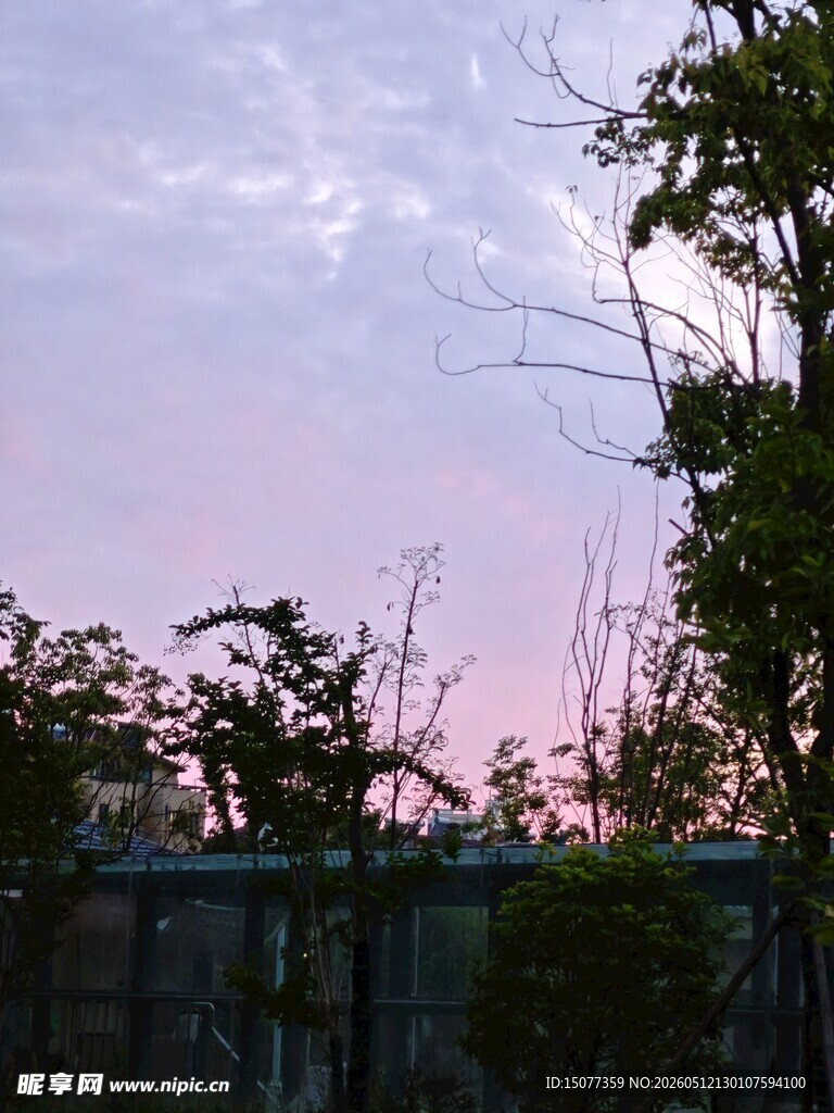 黄昏下的树木与朦胧天空
