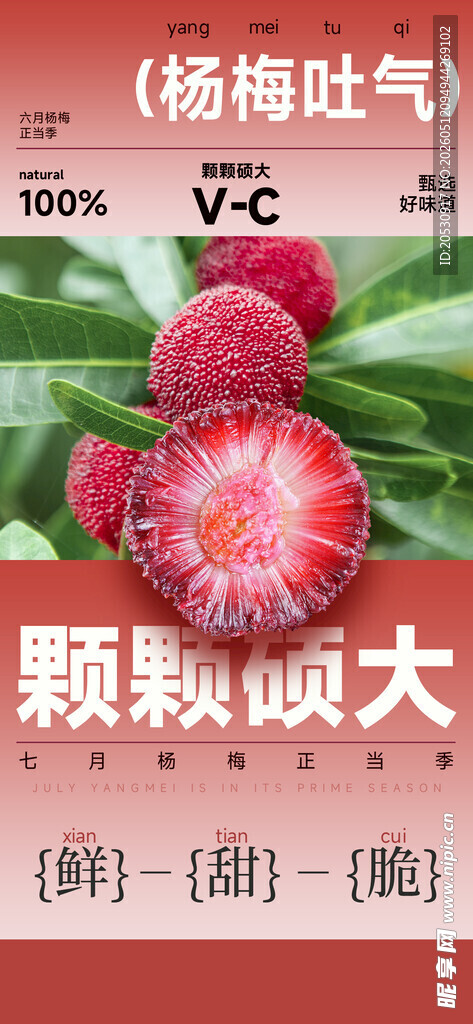 杨梅水果上市宣传海报