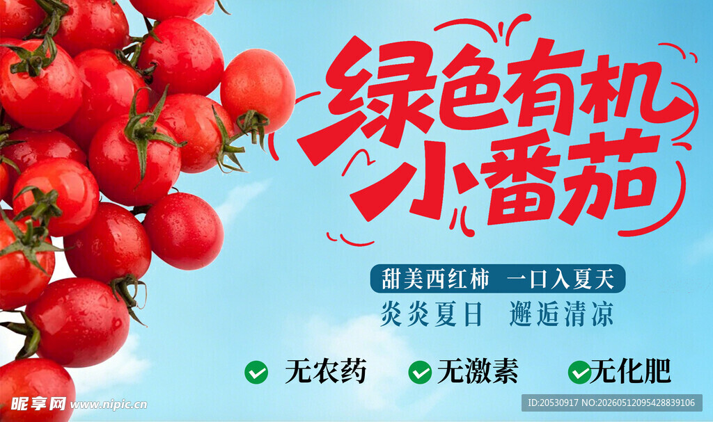 绿色有机小番茄宣传图