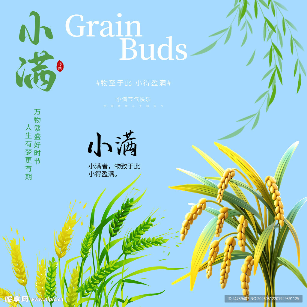 小满素材 
