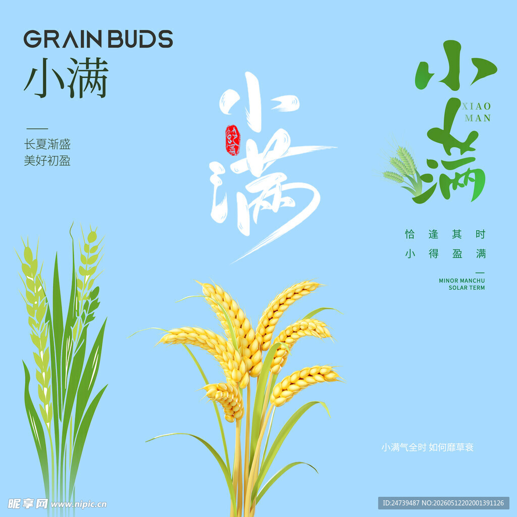 小满素材 