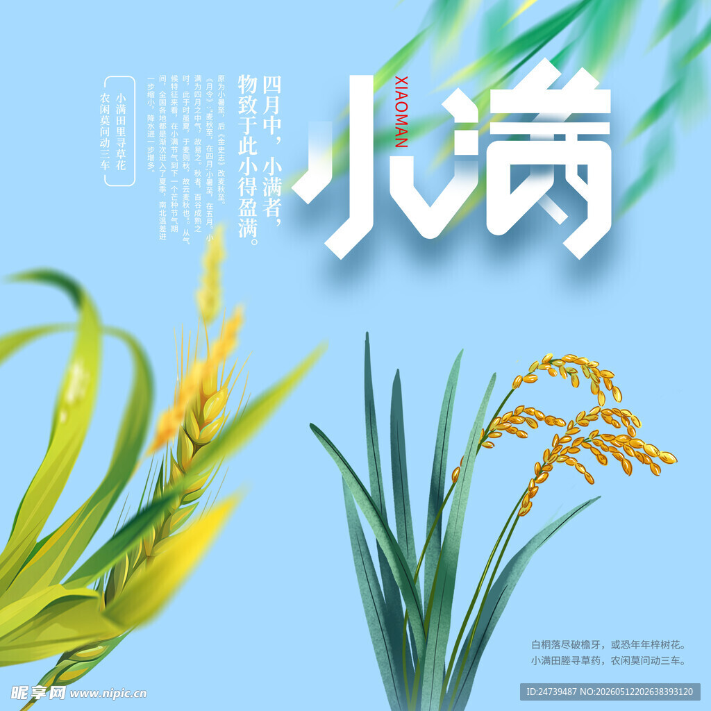 小满素材 