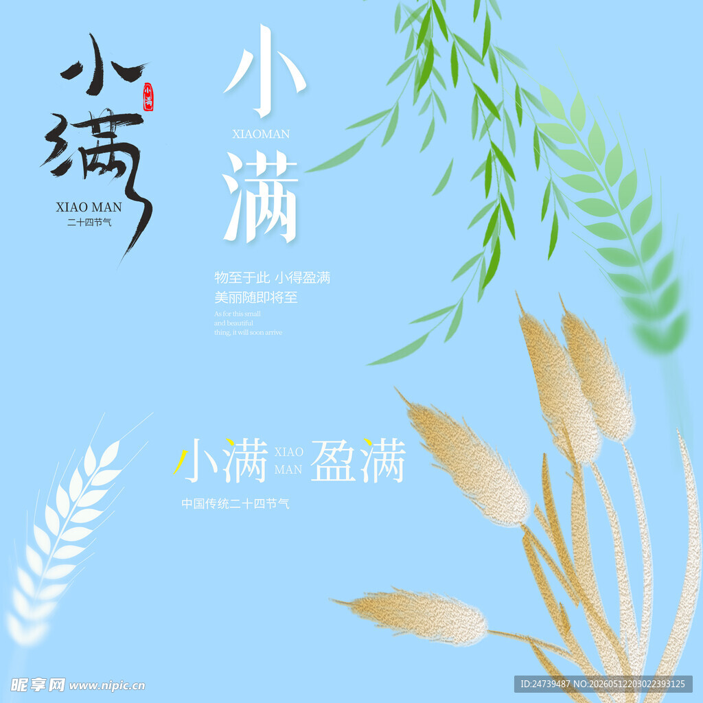 小满素材