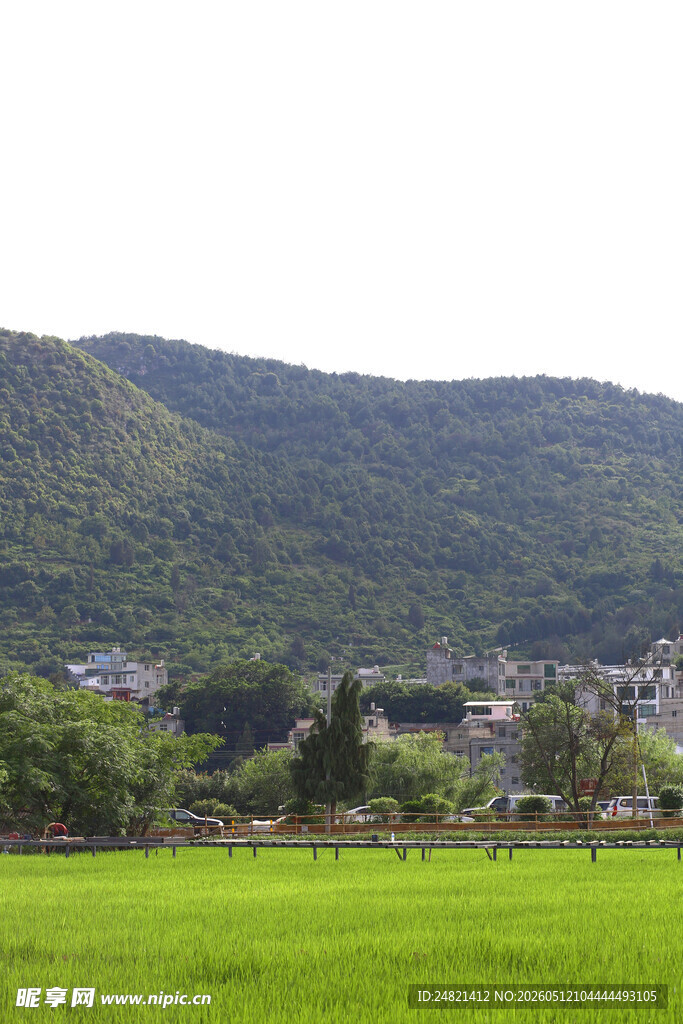 田园绿野