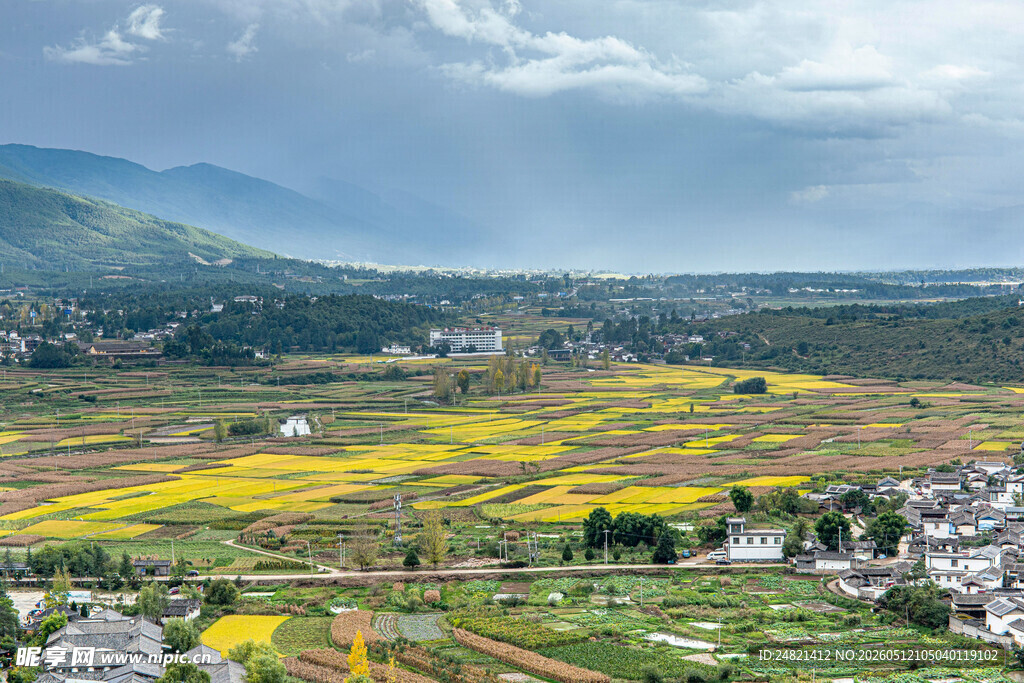 田园油菜花海美丽风光