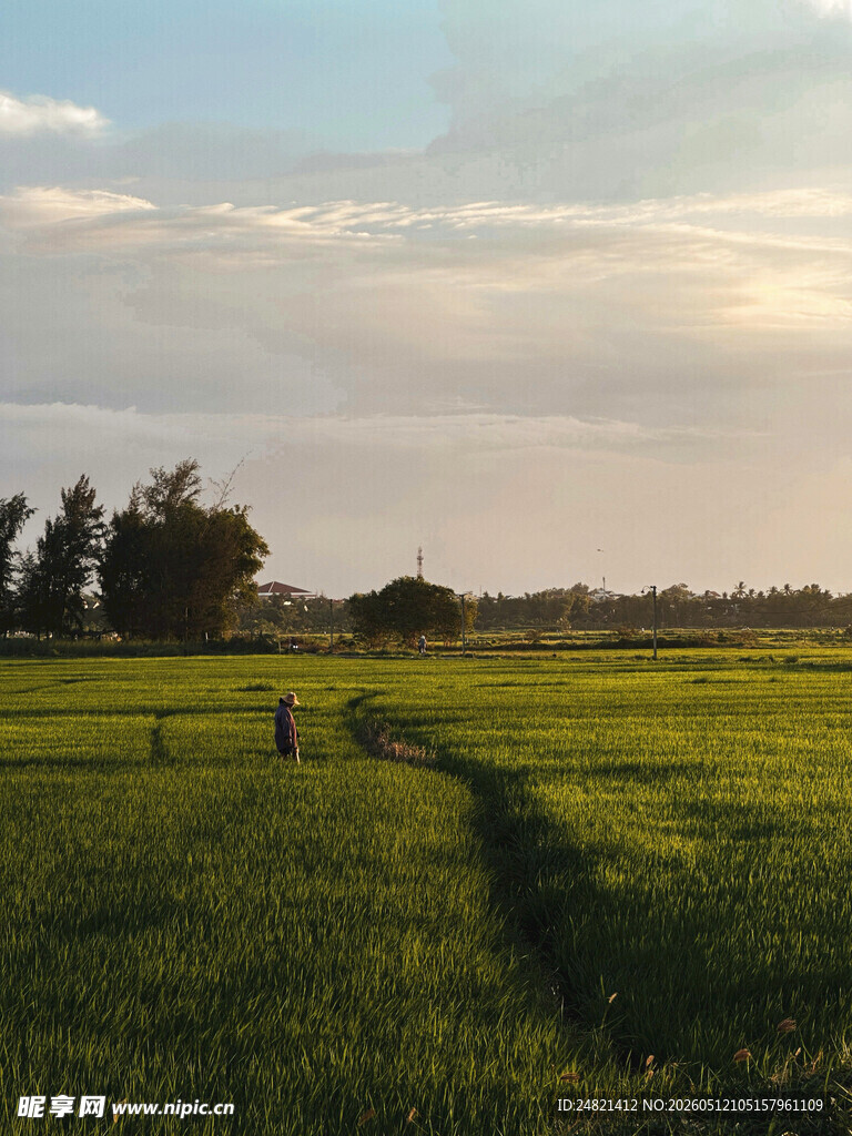 田园漫步美景
