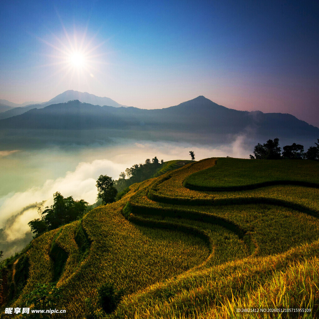 山间梯田日出美景