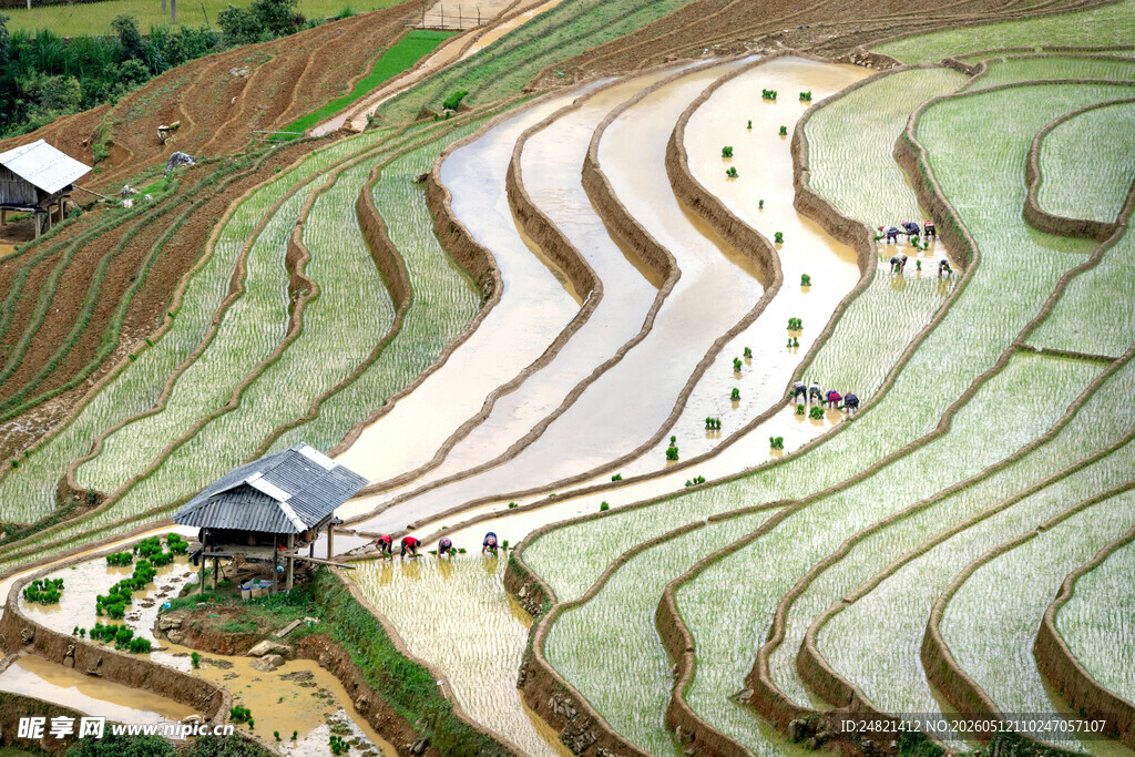 美丽梯田景观