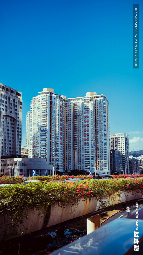 河畔高楼林立的城市风光
