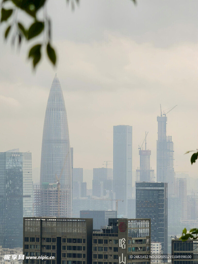雾中都市高楼景观