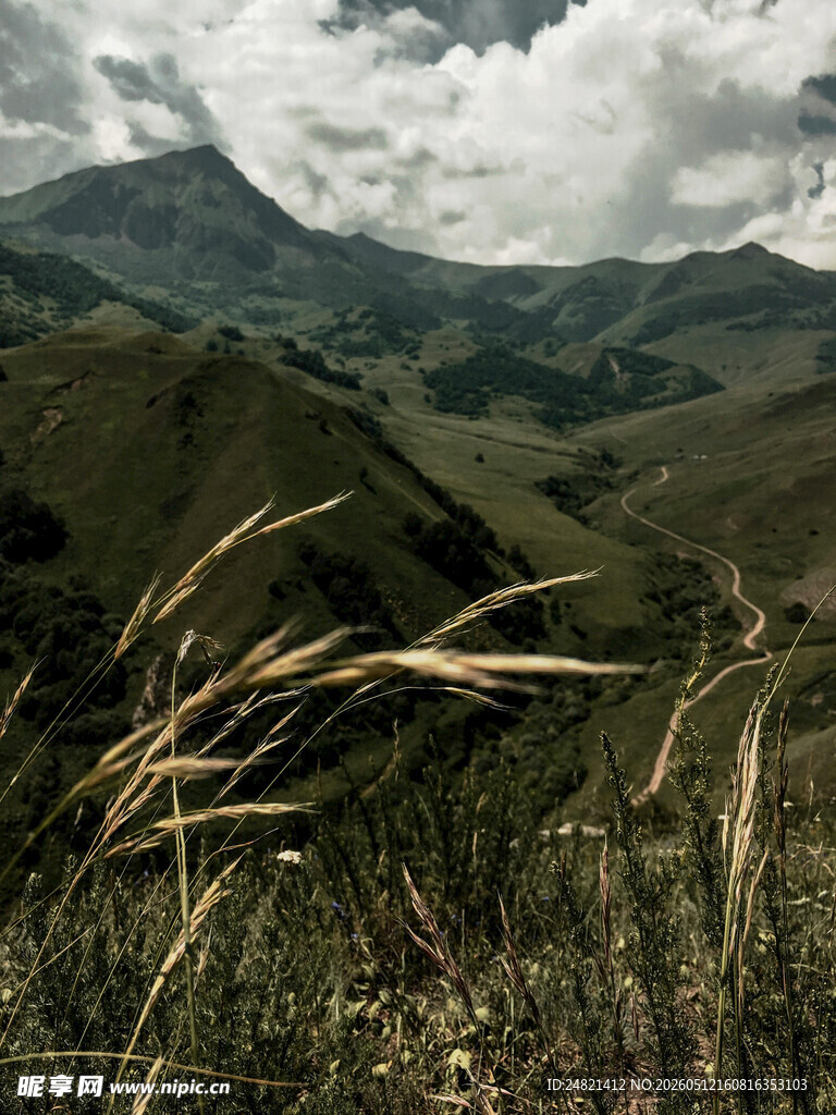 山间草景