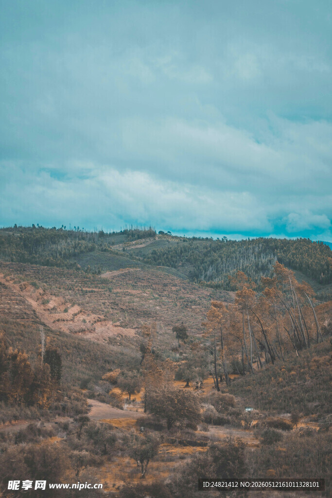 荒凉旷野风景图