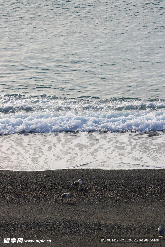 海边沙滩与翻涌海浪