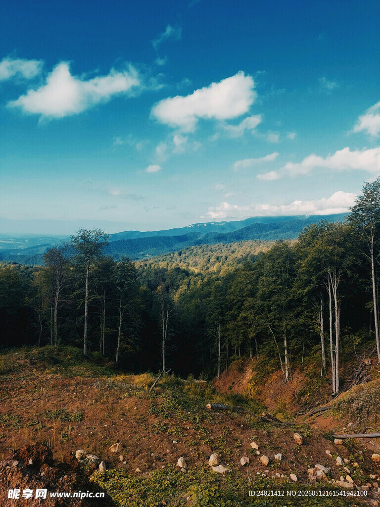 秋日山林美景