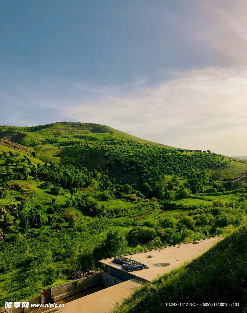 绿意盎然的山间风景