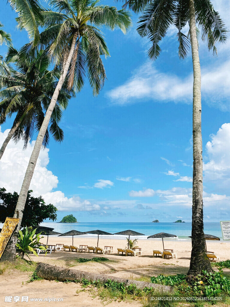 热带海滩椰林美景