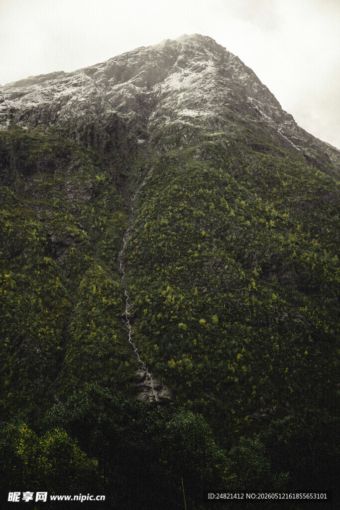 云雾缭绕的翠绿山峰