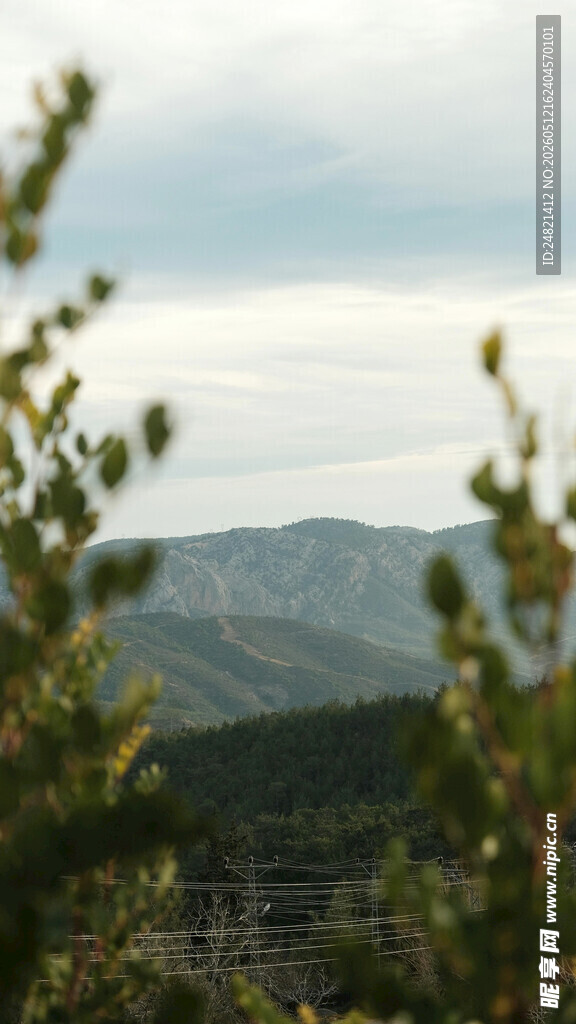 山间绿植与远处山峦景色