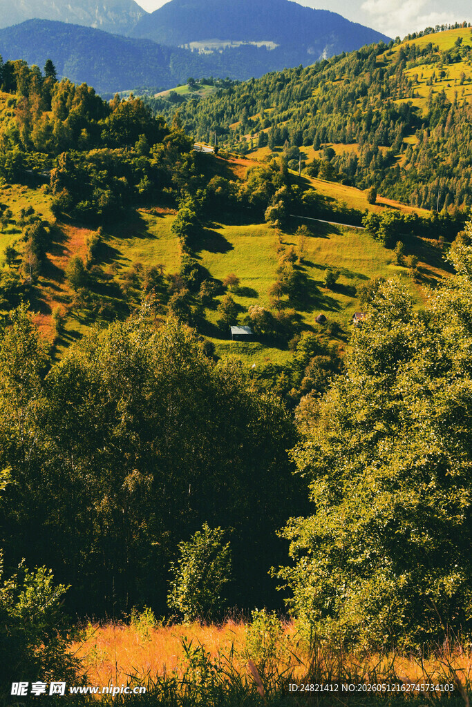 秋日山林美景