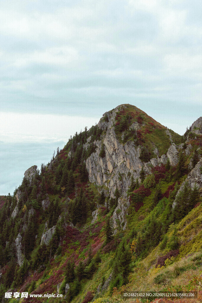 山巅景色