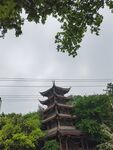 山林中的古朴多层宝塔