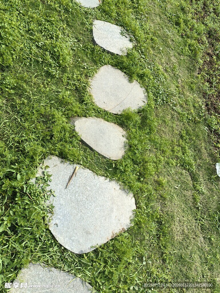 草地中的石板小径