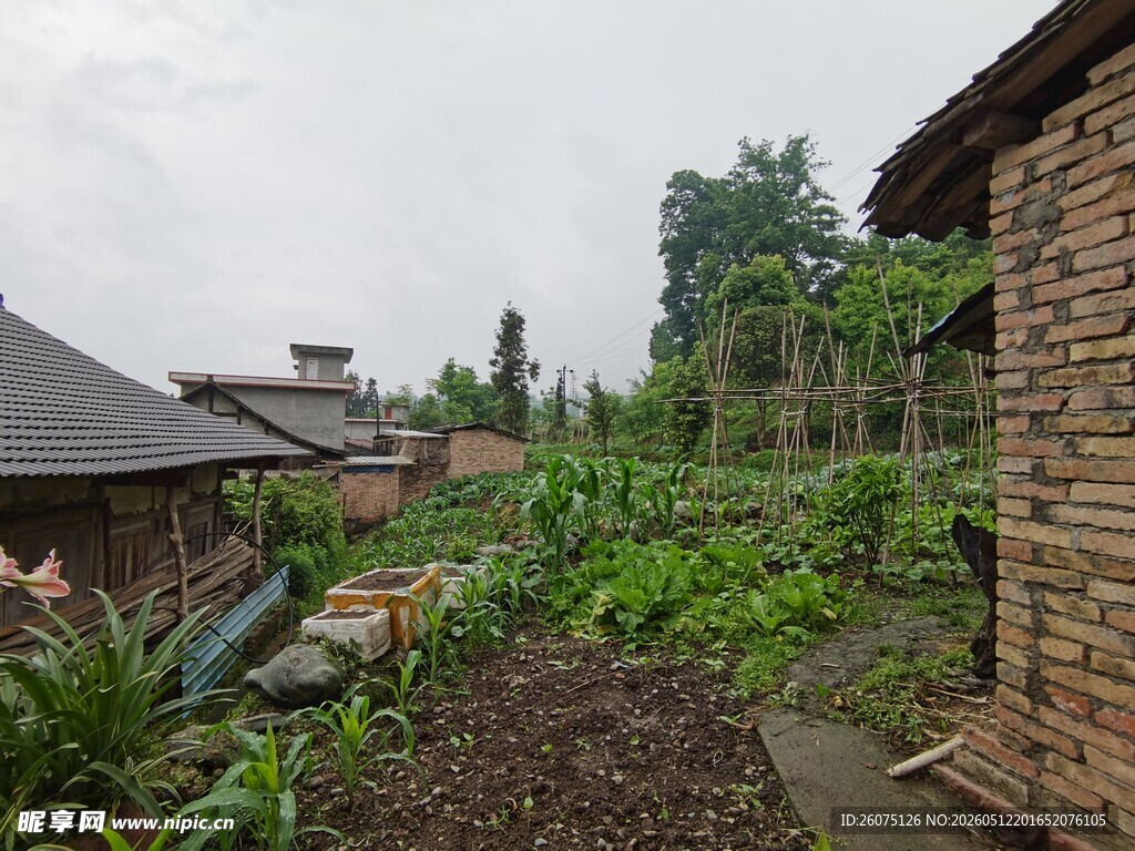 乡村小院的绿植景观